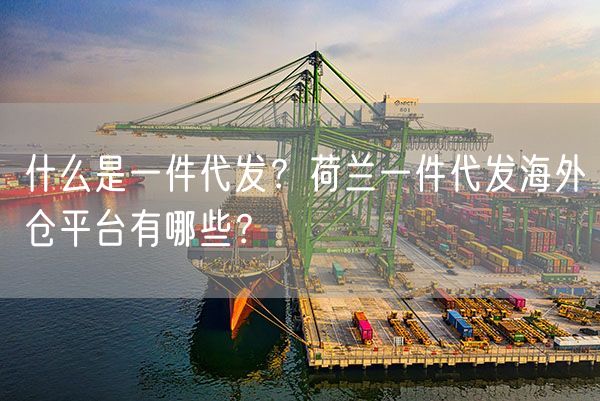  什么是一件代发？荷兰一件代发海外仓平台有哪些？             
