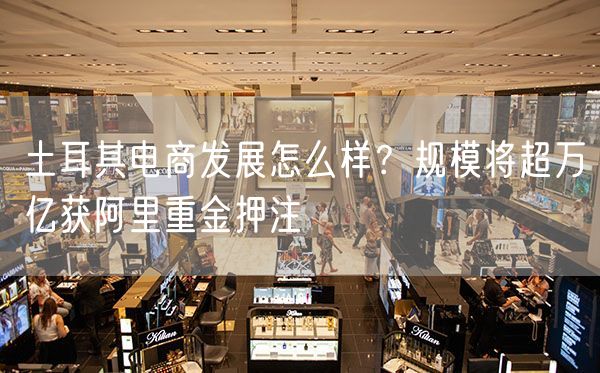 土耳其电商发展怎么样？规模将超万亿获阿里重金押注