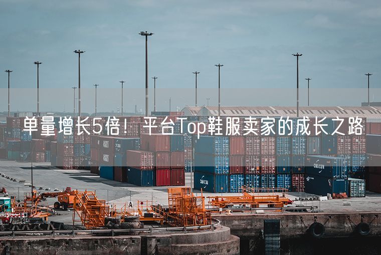 单量增长5倍！平台Top鞋服卖家的成长之路