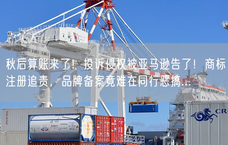 秋后算账来了！投诉侵权被亚马逊告了！商标注册追责，品牌备案竟难在同行恶搞...