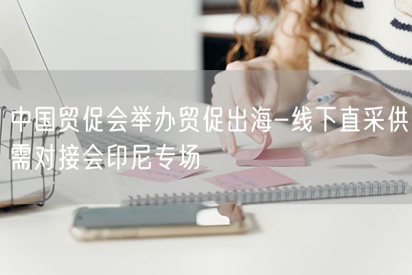 中国贸促会举办贸促出海-线下直采供需对接会印尼专场