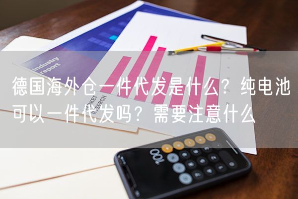  德国海外仓一件代发是什么？纯电池可以一件代发吗？需要注意什么             