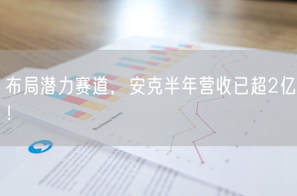 布局潜力赛道，安克半年营收已超2亿！