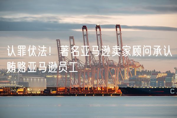 认罪伏法！著名亚马逊卖家顾问承认贿赂亚马逊员工