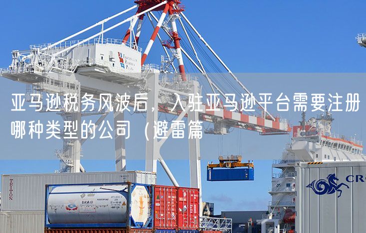 亚马逊税务风波后，入驻亚马逊平台需要注册哪种类型的公司（避雷篇