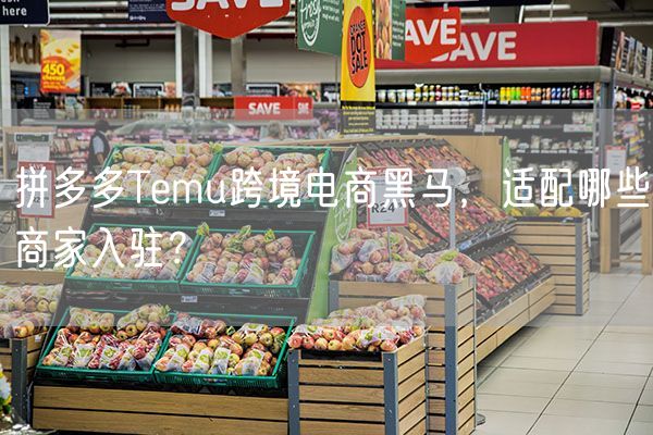 拼多多Temu跨境电商黑马，适配哪些商家入驻？