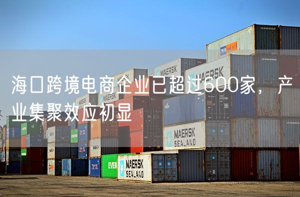 海口跨境电商企业已超过600家，产业集聚效应初显