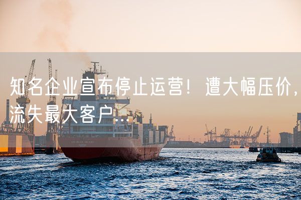 知名企业宣布停止运营！遭大幅压价，流失最大客户...