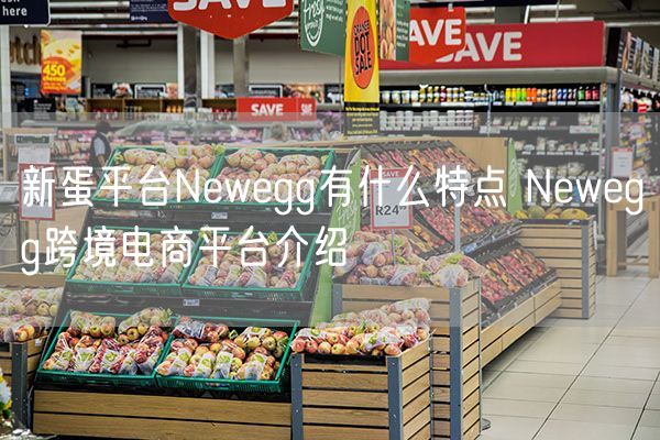  新蛋平台Newegg有什么特点 Newegg跨境电商平台介绍             