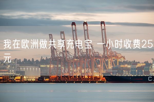 我在欧洲做共享充电宝 一小时收费25元