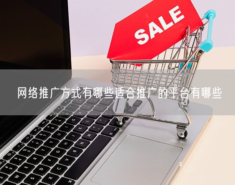 网络推广方式有哪些适合推广的平台有哪些