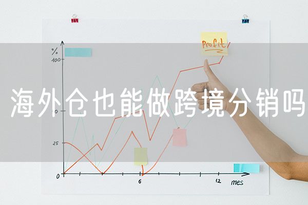 海外仓也能做跨境分销吗