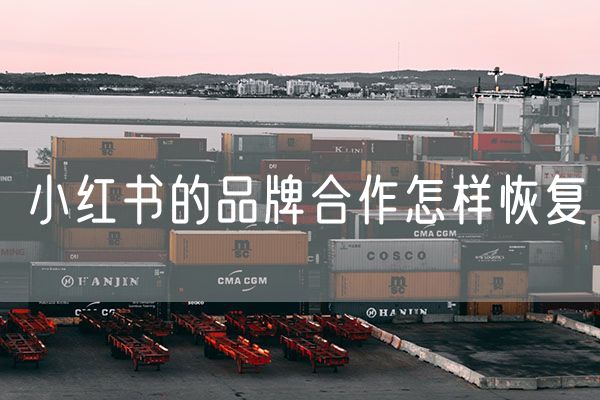 小红书的品牌合作怎样恢复 如何应对网络营销时代的机遇和挑战