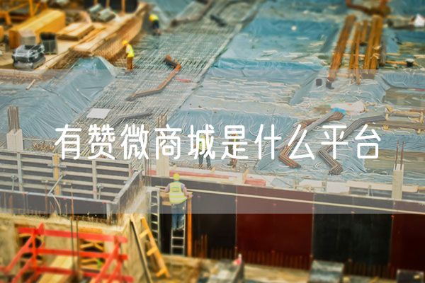 有赞微商城是什么平台  有赞平台可靠吗