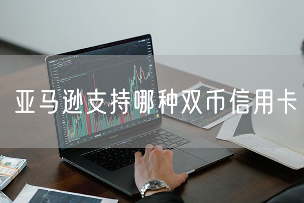 亚马逊支持哪种双币信用卡  亚马逊支持的支付方式