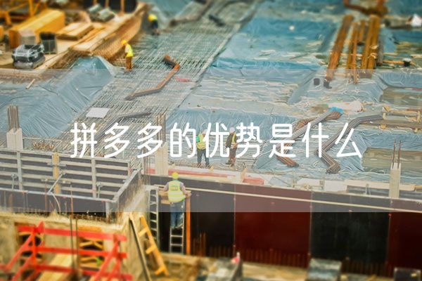 拼多多的优势是什么 拼多多的优势劣势
