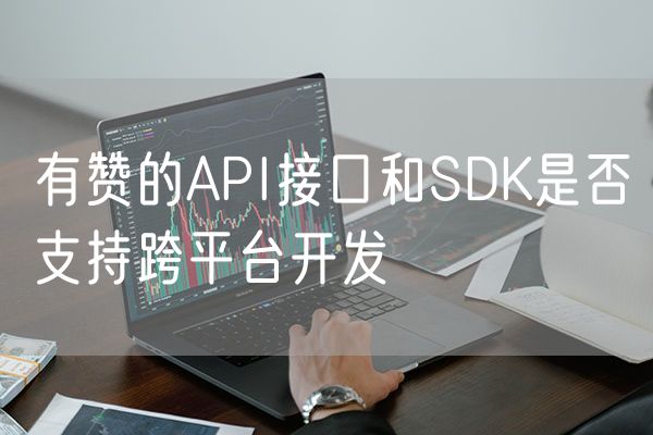 有赞的API接口和SDK是否支持跨平台开发