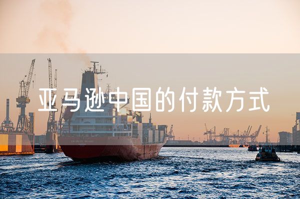 亚马逊中国的付款方式 亚马逊怎么取消付款方式