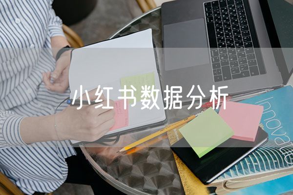 小红书数据分析 小红书怎么看数据分析