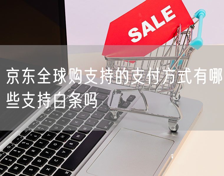 京东全球购支持的支付方式有哪些支持白条吗