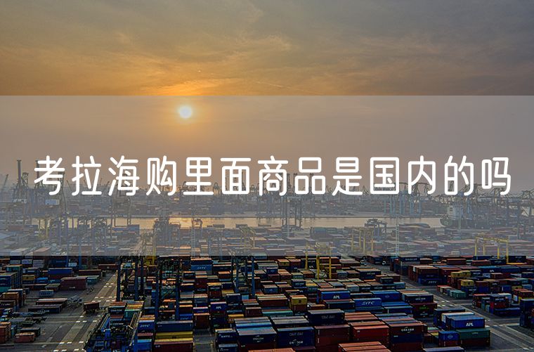 考拉海购里面商品是国内的吗 国外定居的在国内买车有什么优惠吗
