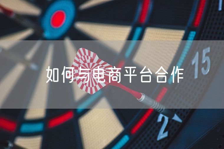 如何与电商平台合作 个人卖货境外电商平台
