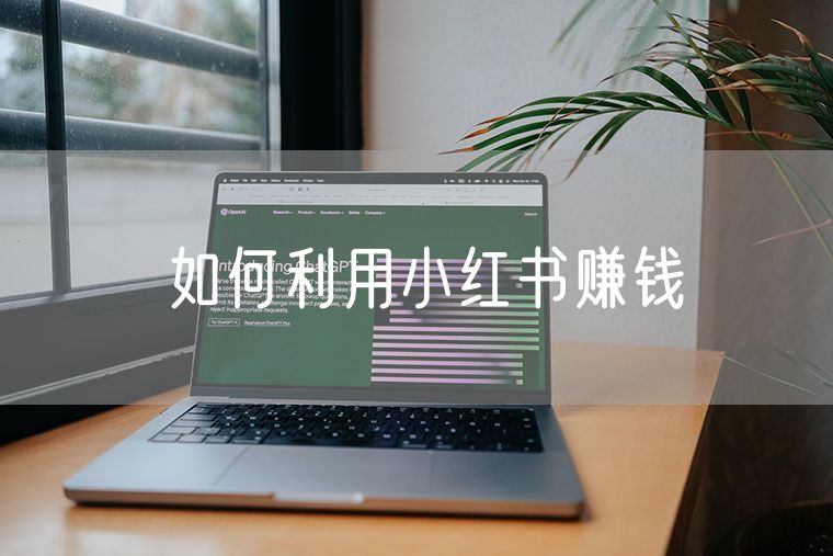 如何利用小红书赚钱 小红书如何利用大数据推广