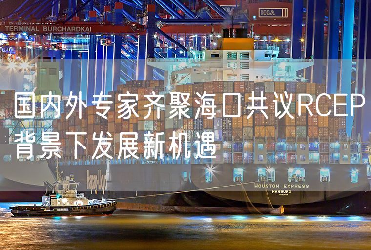 国内外专家齐聚海口共议RCEP背景下发展新机遇