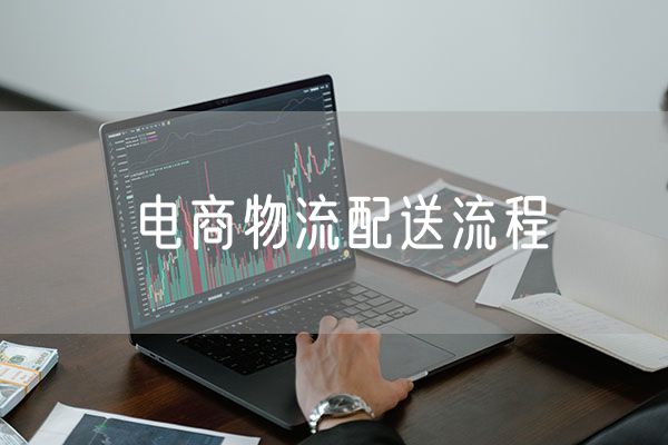 电商物流配送流程 物流配送体系涵盖的范围