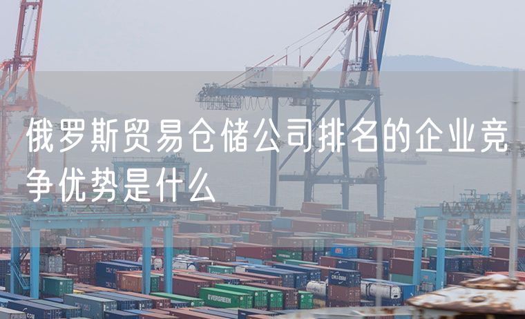 俄罗斯贸易仓储公司排名的企业竞争优势是什么