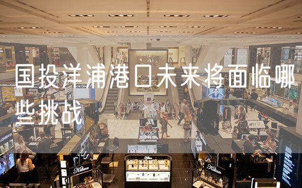 国投洋浦港口未来将面临哪些挑战