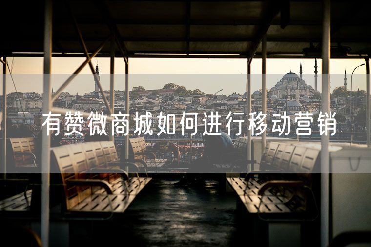 有赞微商城如何进行移动营销