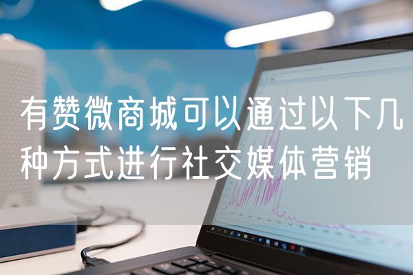 有赞微商城可以通过以下几种方式进行社交媒体营销