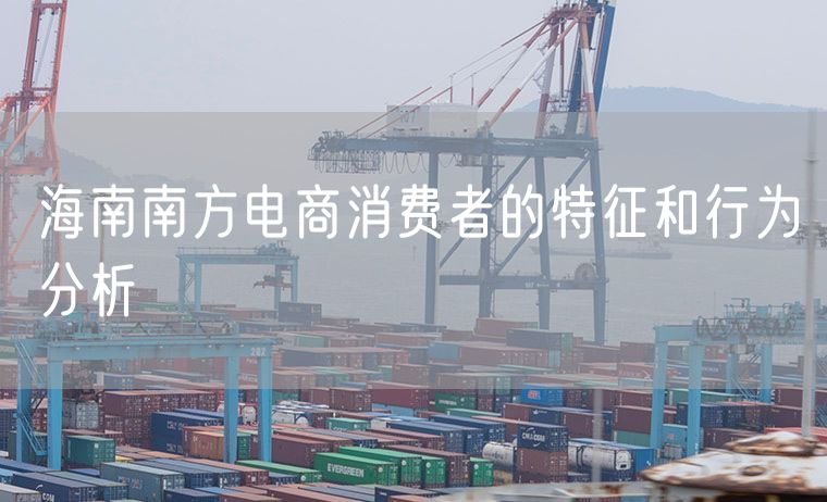 海南南方电商消费者的特征和行为分析