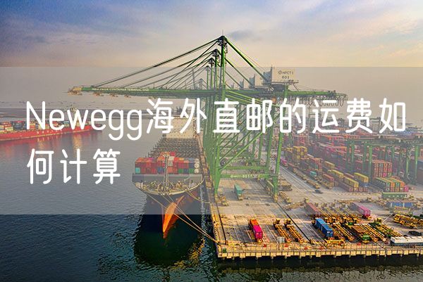 Newegg海外直邮的运费如何计算