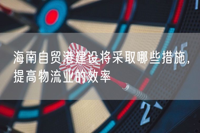 海南自贸港建设将采取哪些措施，提高物流业的效率