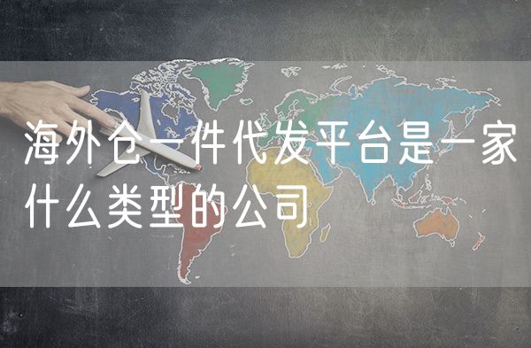 海外仓一件代发平台是一家什么类型的公司