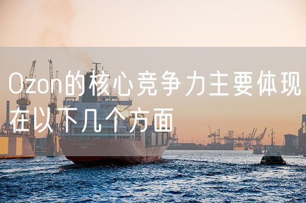 Ozon的核心竞争力主要体现在以下几个方面