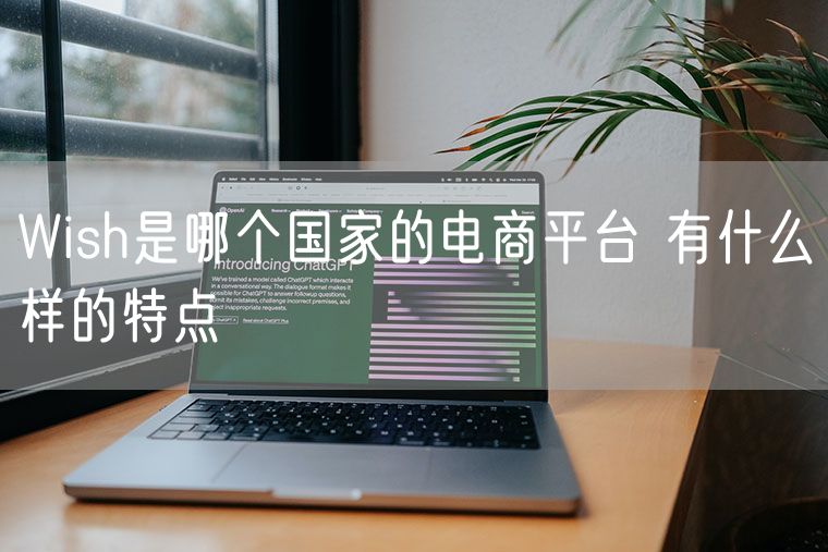 Wish是哪个国家的电商平台 有什么样的特点
