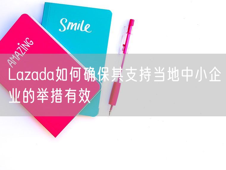 Lazada如何确保其支持当地中小企业的举措有效
