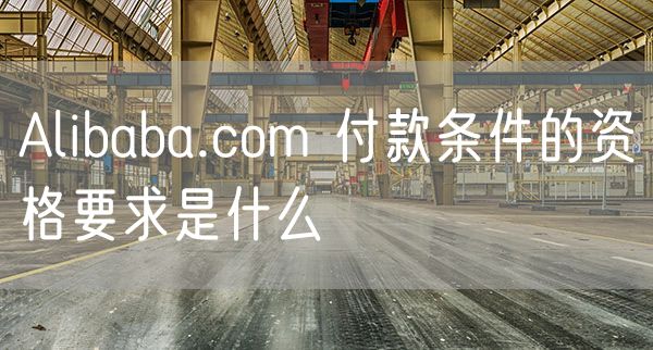 Alibaba.com 付款条件的资格要求是什么
