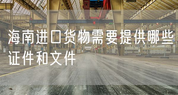 海南进口货物需要提供哪些证件和文件