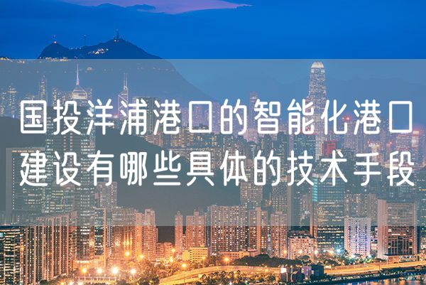 国投洋浦港口的智能化港口建设有哪些具体的技术手段