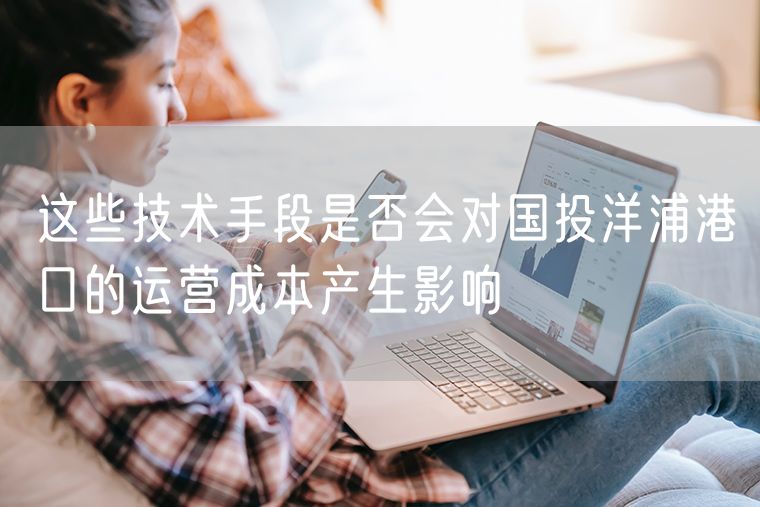 这些技术手段是否会对国投洋浦港口的运营成本产生影响