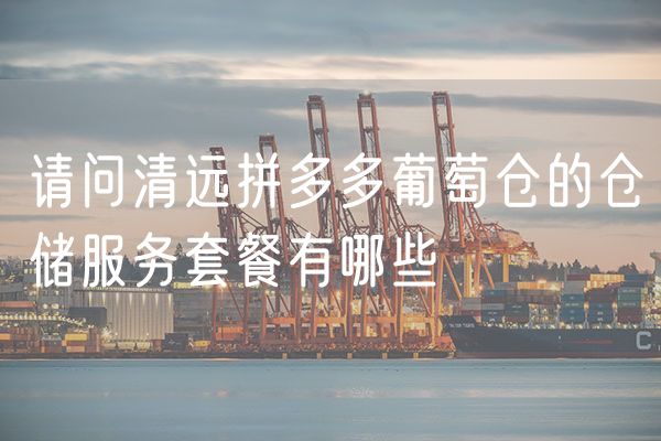 请问清远拼多多葡萄仓的仓储服务套餐有哪些