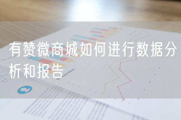 有赞微商城如何进行数据分析和报告