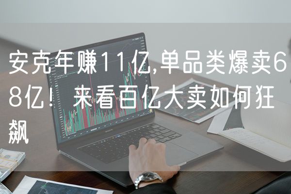 安克年赚11亿,单品类爆卖68亿！来看百亿大卖如何狂飙