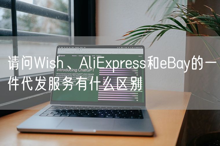 请问Wish、AliExpress和eBay的一件代发服务有什么区别