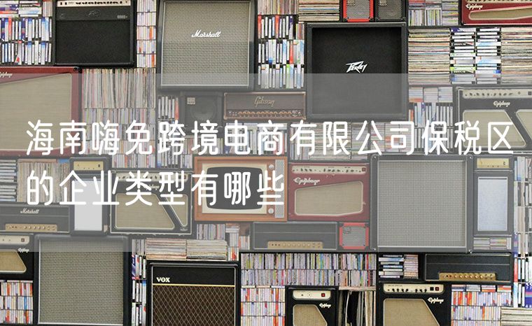 海南嗨免跨境电商有限公司保税区的企业类型有哪些