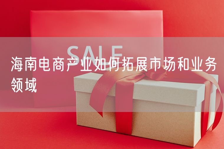 海南电商产业如何拓展市场和业务领域